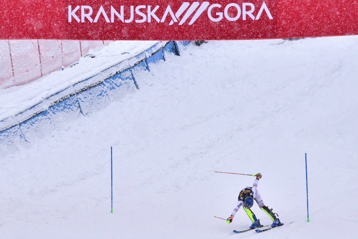 Zlata lisica dobila zeleno luč za izvedbo v Kranjski Gori