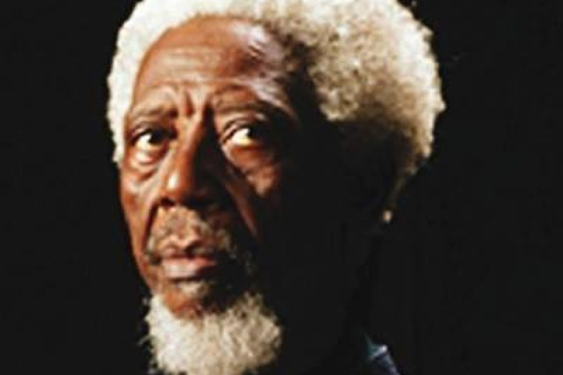 Nigerijcu Demasu Nwoki zlati lev za življenjsko delo beneškega arhitekturnega bienala