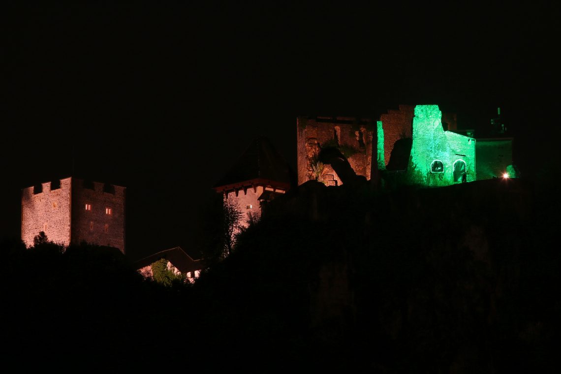 Ob svetovnem dnevu cerebralne paralize bo Stari grad Celje zasijal zeleno 