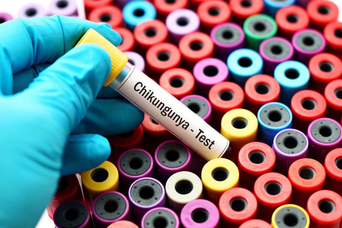 V Trstu odkrili prvi primer okužbe s čikungunjo