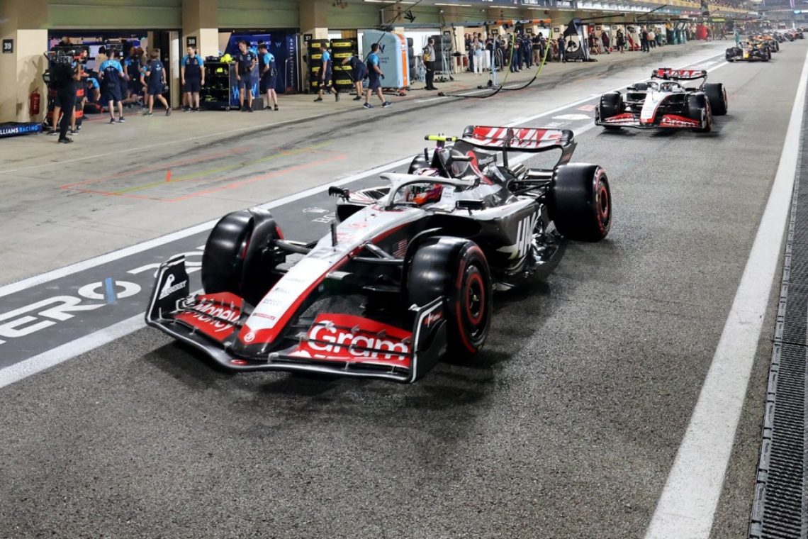 Krovna zveza preiskuje navzkrižje interesov v F1
