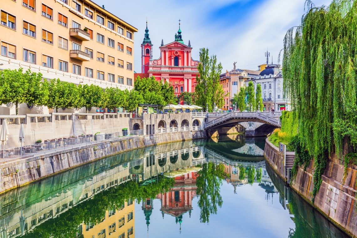 Ljubljana nadaljuje ozelenjevanje avtobusnih nadstrešnic