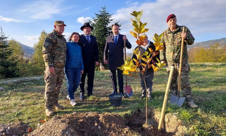 Sanacija drevoreda platan Ivan Cankar na Betaniji združila slovensko skupnost v Sarajevu