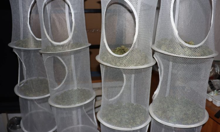 Ljubljanski kriminalisti zasegli več kot sedem kilogramov konoplje