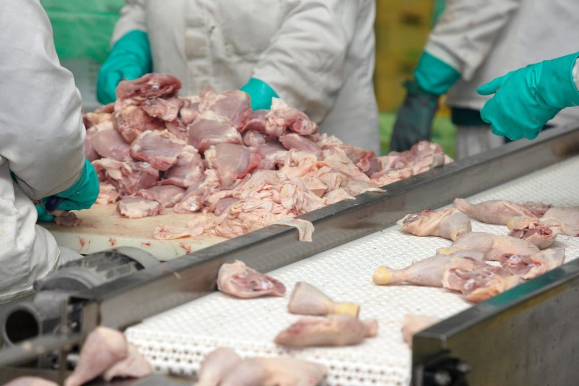 Perutnina Ptuj postala večinska lastnica španske skupine Uvesa
