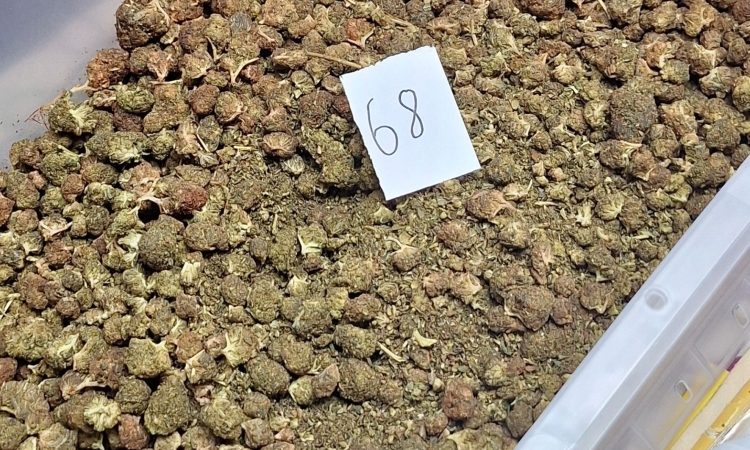Policija zasegla več kot 7 kilogramov konoplje in izdelke s THC