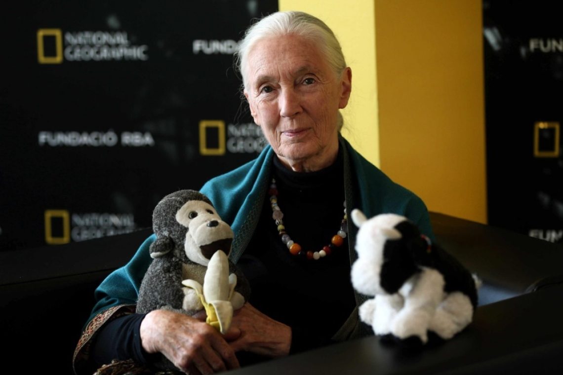 Leonardo DiCaprio se je poslovil od Jane Goodall z ganljivim poklonom