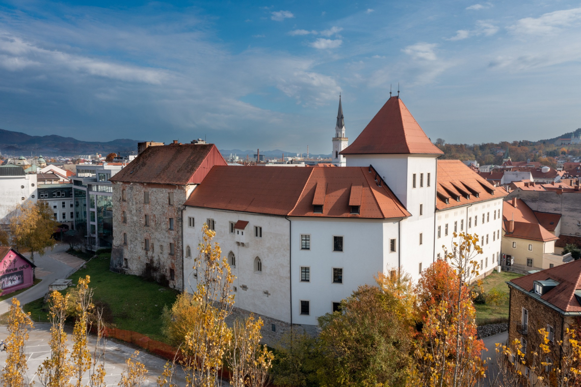 Pokrajinski muzej Celje eden izmed petih regijskih centrov kulturno-umetnostne vzgoje