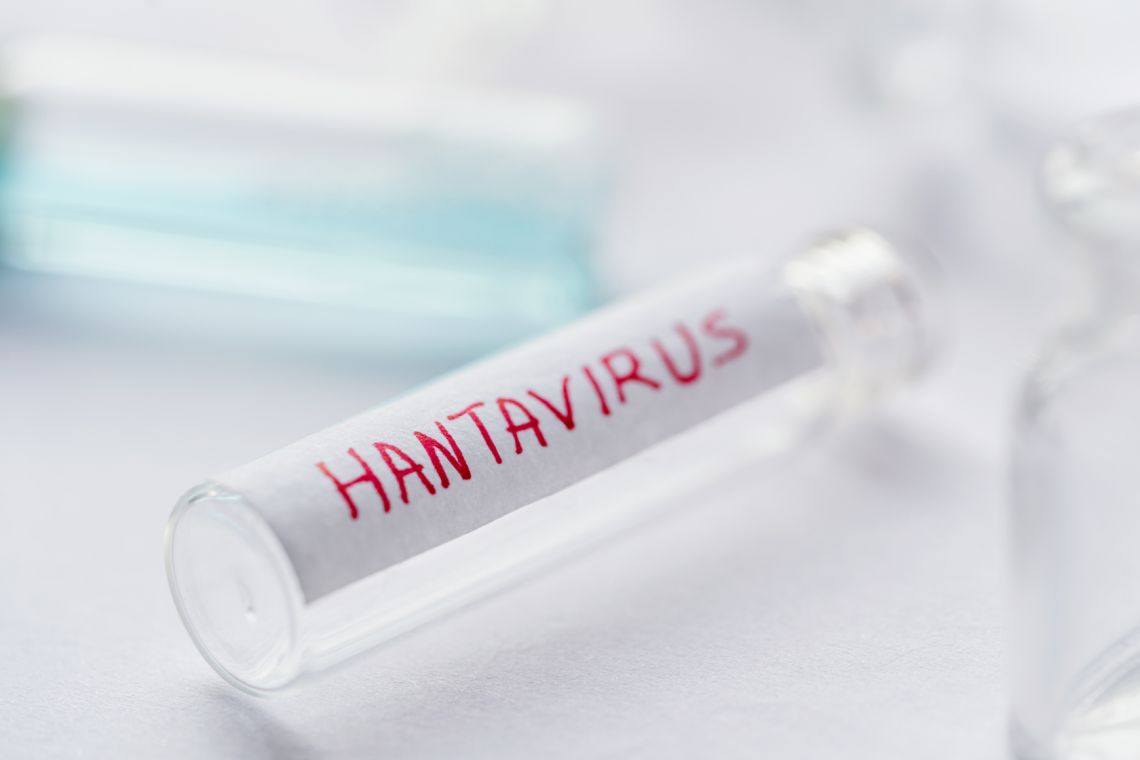 Sum na hantavirus na križarki terjal tri življenja